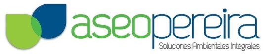 Medium Consultoria y Proyectos